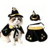 Pet Halloween Cape and Hat Set for Cats and Dogs - Costume Accessories for Holiday Parties