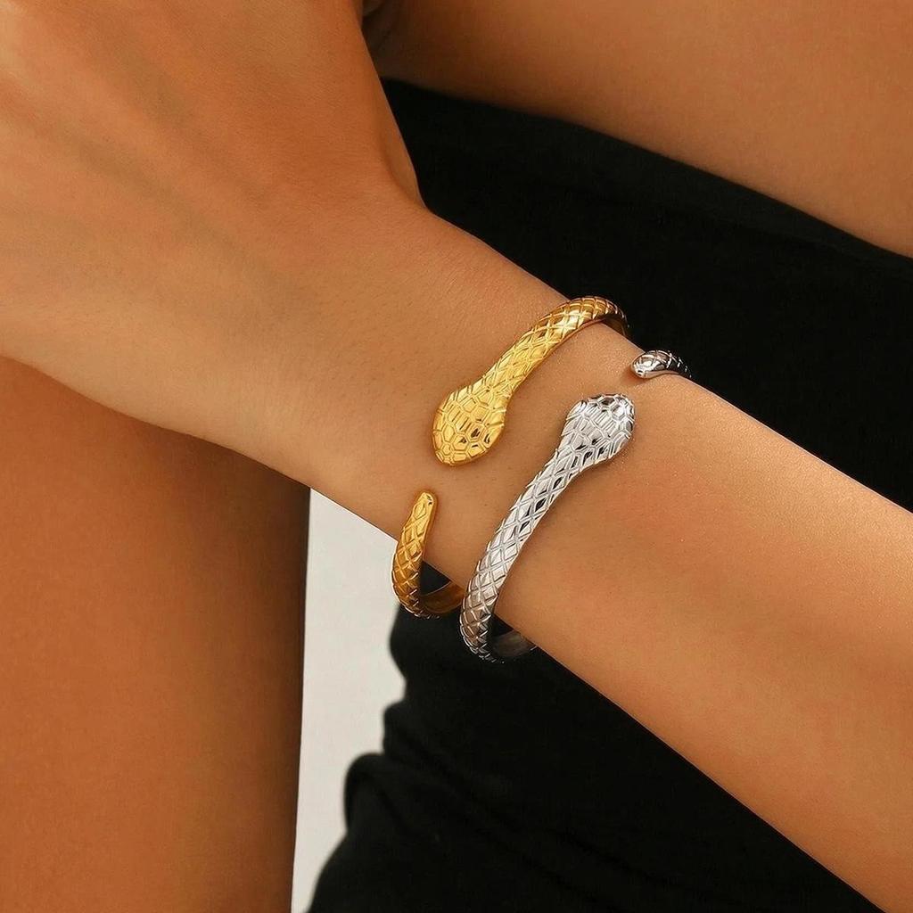 Unisex European Snake-Shaped Stainless Steel Punk Bracelet