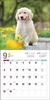 2024 Calendar Golden Retriever (Seibundo Shinkosha Calendar)