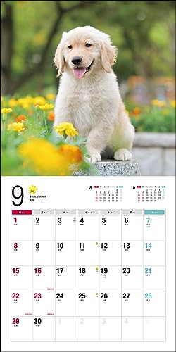 2024 Calendar Golden Retriever (Seibundo Shinkosha Calendar)