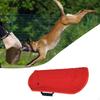Sleeve for Training And Agility, Ideal Small, Medium Large Dogs.