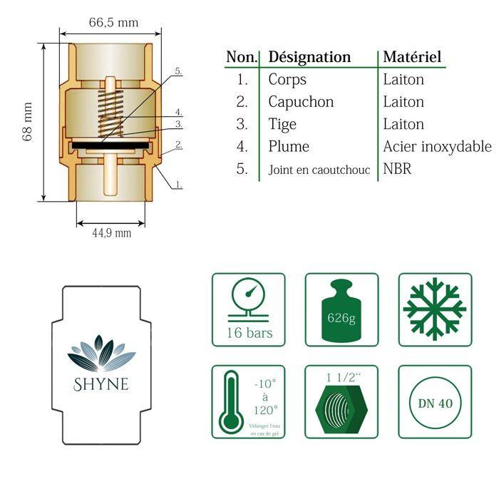 Clapet anti-retour - Shyne - Cv1 - Laiton - 1 1/2 pouce - Résistant à la rouille