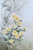 Hare No Machi Gallery Hanging Flower and Bird Four Ayumi Rakusai Danshi Book Shakusan X 164cm Scroll, Paintings, Year-round Hanging, Princes,