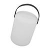 Portable LED Camping Light USB Rechargeable 16 Colors Remote Control Cylindrical Handheld Camping Lantern for Bedroom Living Room Outdoor