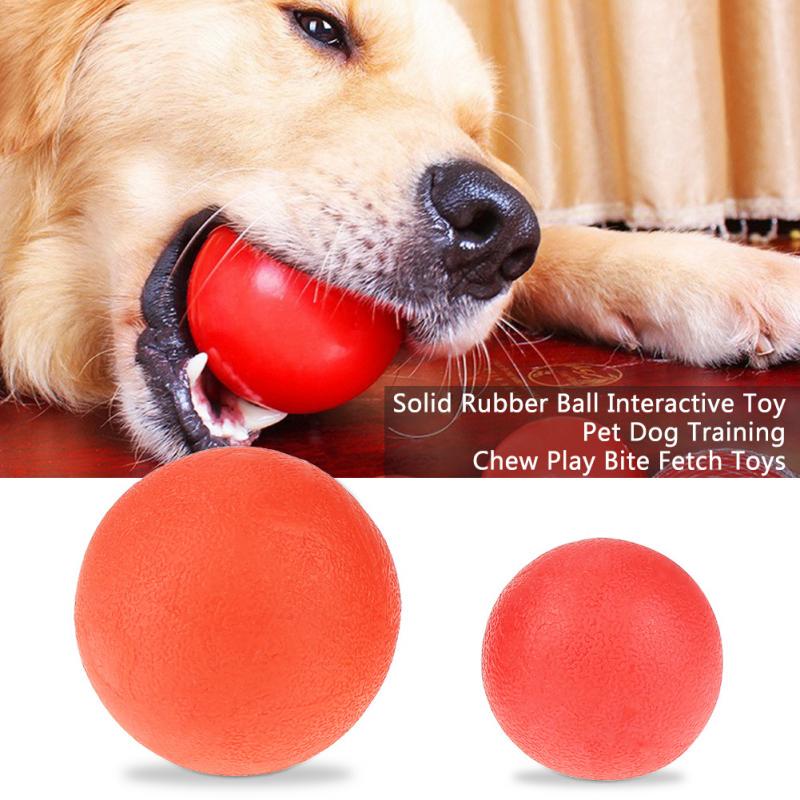 dog training ball