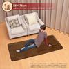Life Joy Electric Hot 1 Tatami Mat 88cm x Dust Mite Compact JPU101H Carpet, Size, 176cm, Repellent, Storage, Gray,