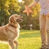 Jouet pour animal de compagnie en forme d'étoile Jouet doux pour chien avec papier bruissant intégré Jouet à mâcher Soulagement de l'ennui Résistant aux morsures Dressage de chiot