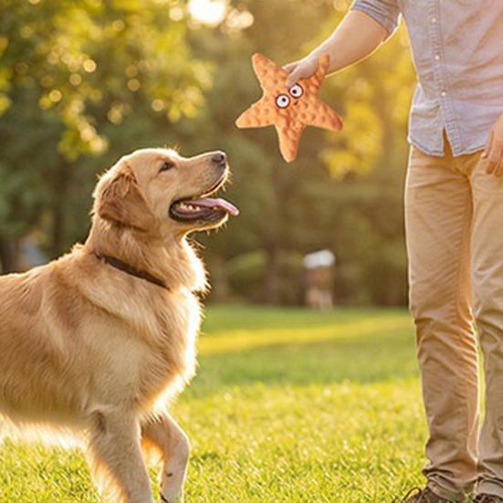 Jouet pour animal de compagnie en forme d'étoile Jouet doux pour chien avec papier bruissant intégré Jouet à mâcher Soulagement de l'ennui Résistant aux morsures Dressage de chiot