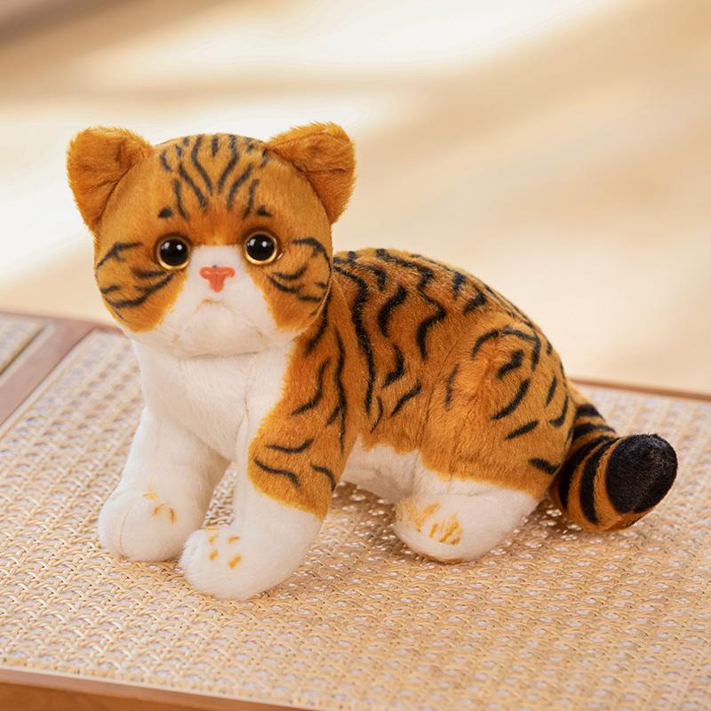 Super Likfelike Fat Face Cat Peluche Imbottito Mela Faccia Tigre Modello Gattino Animali Simulati Decorazione Casa Regalo per Bambini