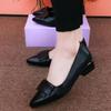 New Single-shoe Flat Shallow Thick-heeled Pointed Women's Shoes with Soft Soles and Versatile Designs