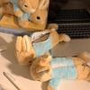 Kawaii Doll Back To School Storage Bag Pen Bag Cute Plush Rabbit Pencil Case Stationery Student Stationery School Supplies