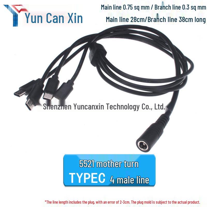 0.3m Type-C Dual-Core 3A Fast Charging Cable with Tinned USB-C Male Connector