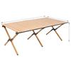 Portable Camping Roll-Up Table