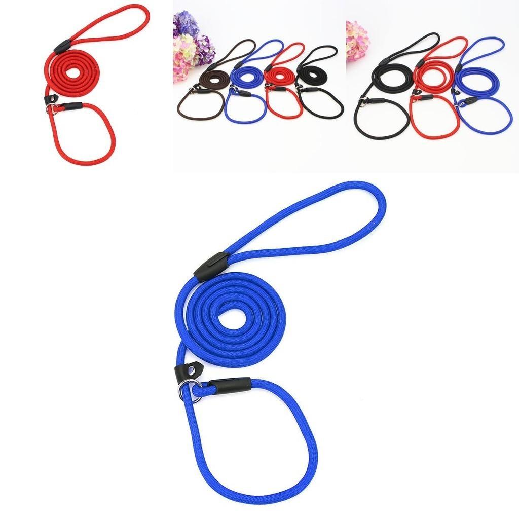 Stylish Dog Leash Fashionable And Sturdy Pet Leash Available In Multiple Vibrant Colors