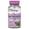 Solaray Palmetto Berry Saw 160mg 120 Tablets 1 Pcs