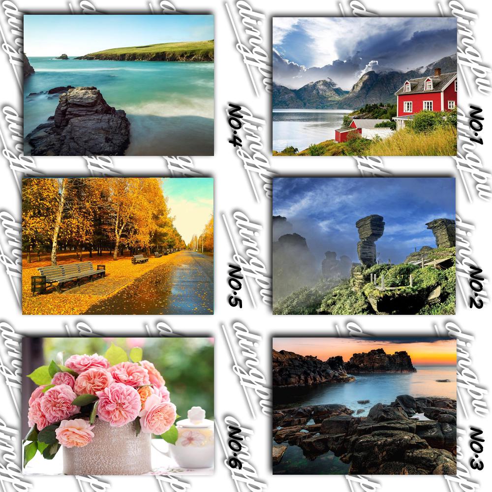 Volledige ronde boor 5D DIY diamant schilderij "Rose bloem" 3D diamant borduurwerk kruissteek Home Decor