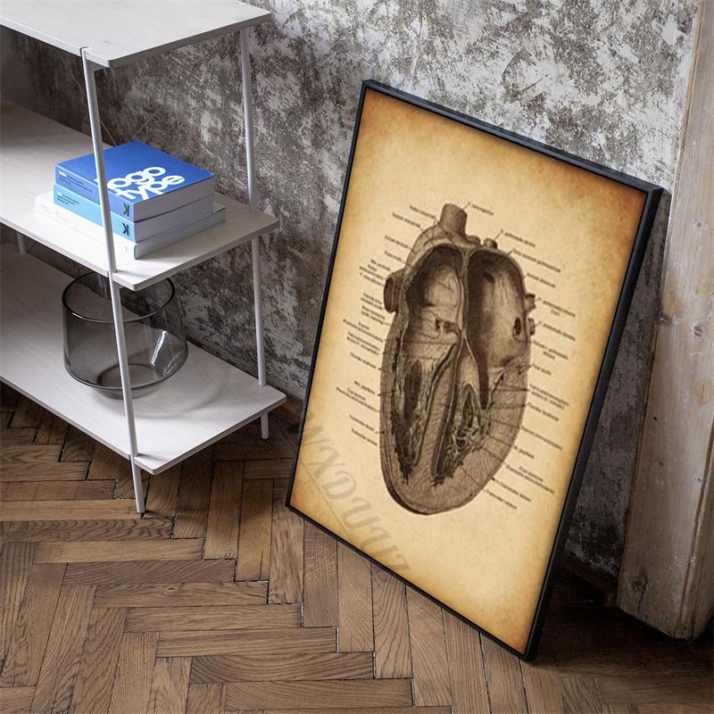 Menselijk hart anatomie posters voor ziekenhuis arts kamer wonen 80s retro canvas schilderij print kunst thuis muur decor foto's cadeau
