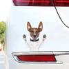 TM28# Funny Jack Russell Terrier Dog Motorcycle Bike Stickers Puppy Car Styling Decals