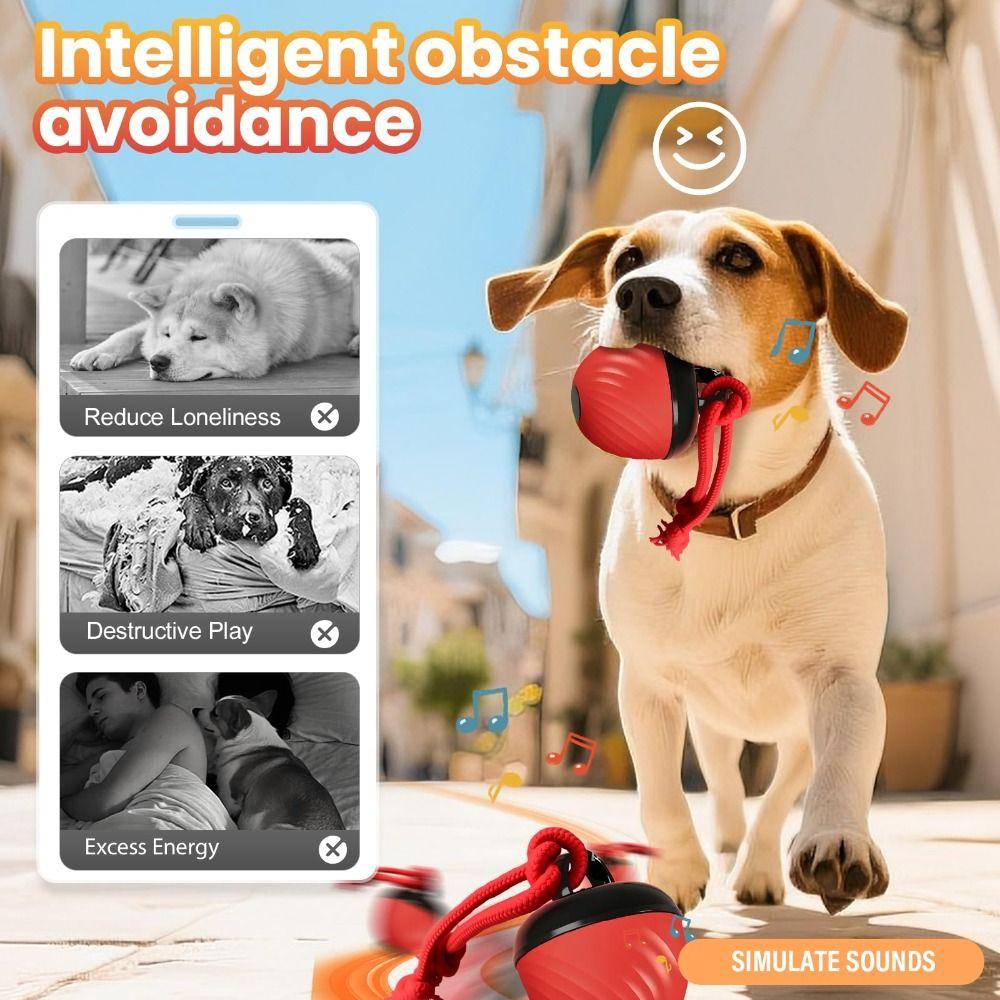 With Ropes Interactive Dog Toys Ball 3 Modes Random Path Smart Pet Puppy Ball USB Charging Bouncing Design Rolling Dogs Toy