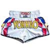Pantaloncini MMA Pantaloni da Allenamento Boxe Muay Thai Kickboxing UFC Sparring Palestra Abbigliamento Fitness Sublimazione Compressione