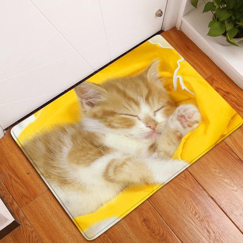 Cute Cat Animals Pattern Anti-Slip Carpet Bath Kitchen Super Absorbent Door Mats Non Slip Area Rugs for Home Living Room Decor