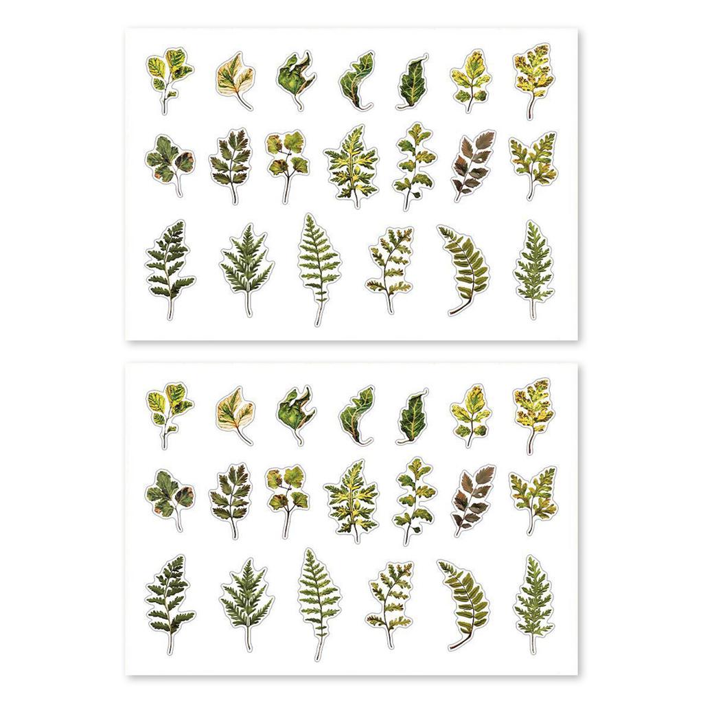 Plant Leaf Flower Themed Sticker Self Adheisve PET Sticker for Scrapbooking Journal Planner Phone Case Photo Album