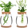 Transparent Tabletop Plant Vase with Wooden Tray Mini Terrarium Glass Planter  Botanical Display