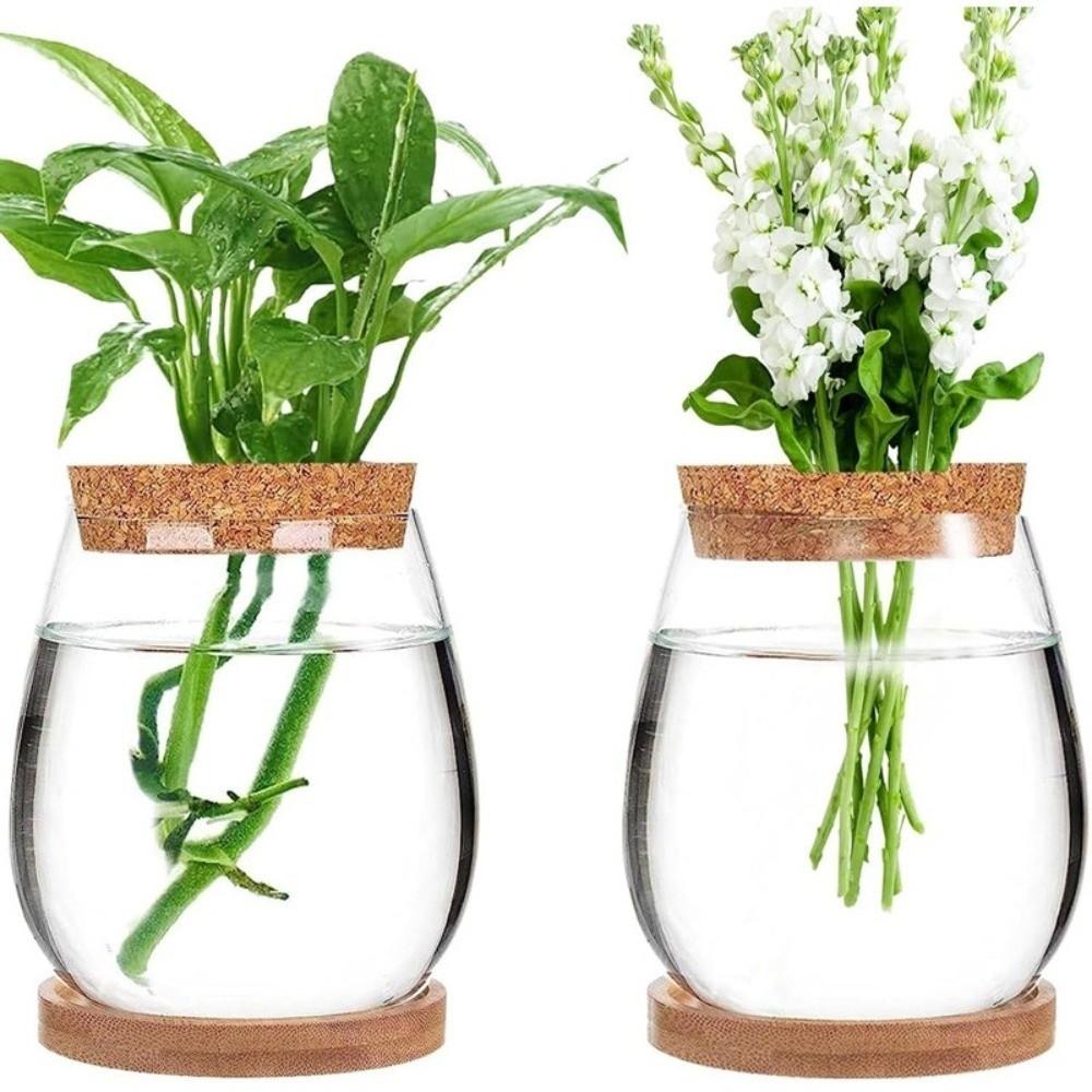 Transparent Tabletop Plant Vase with Wooden Tray Mini Terrarium Glass Planter  Botanical Display