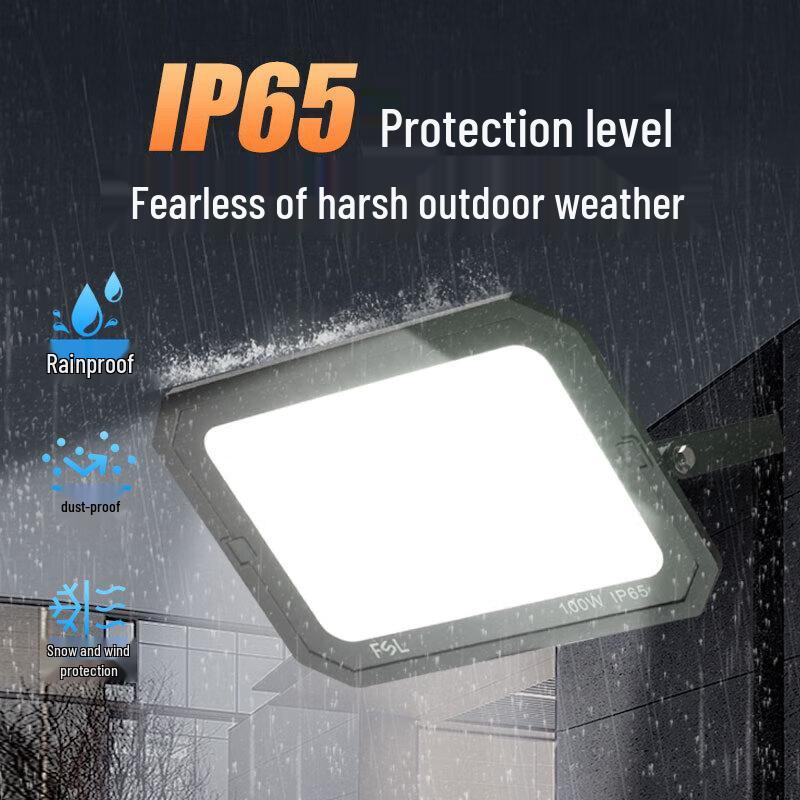 FSL IP65 Outdoor LED Floodlight