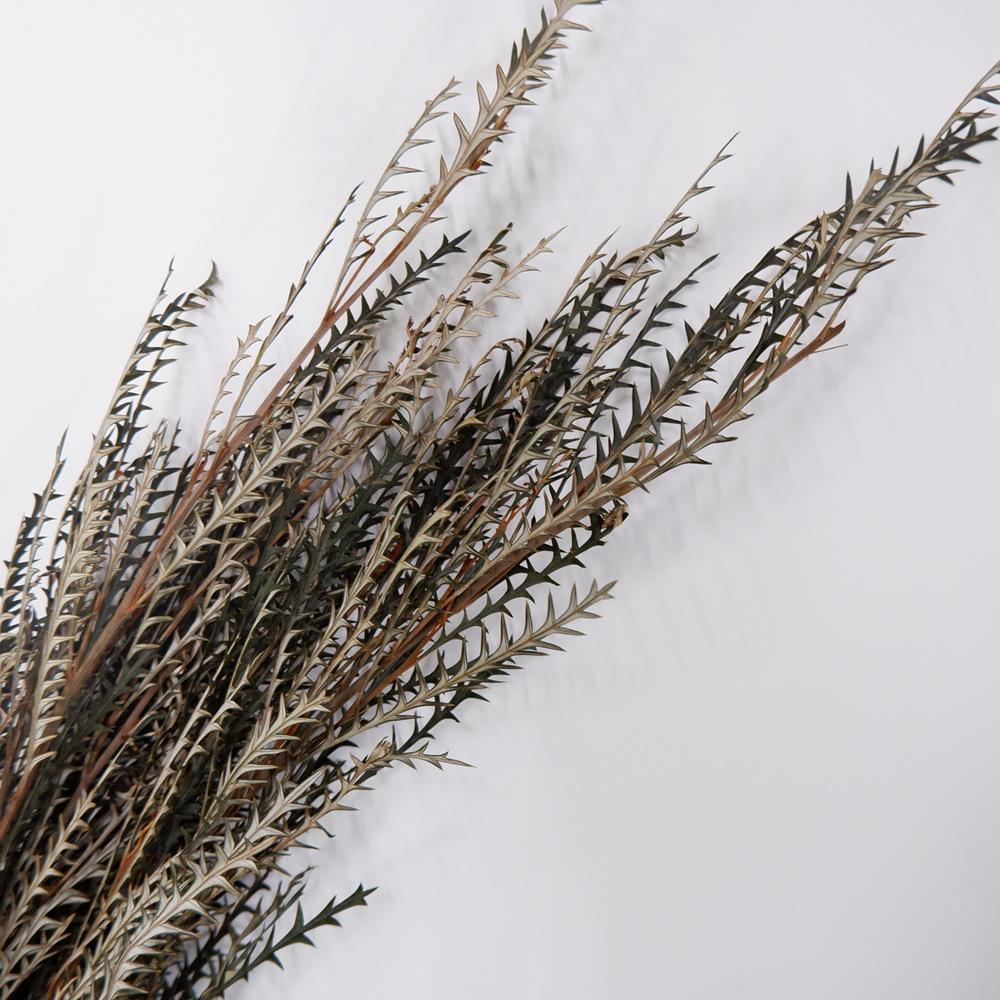 

Вечный Цветок Саблезубый Лист Сухоцвет Зубчатый Лист Овечий Зуб Лист Букет Свадебный Складка Волна Полый Изысканный Домашний Декор