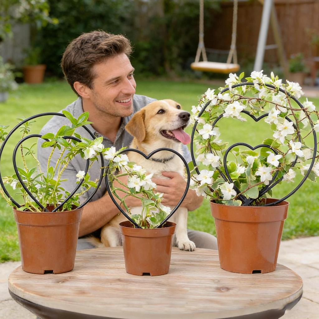 Garden Plant Support Stake Stand Round Vine Climbing Rack Iron heart-Shaped Flower Plant Trellis Support Frame Garden Decor