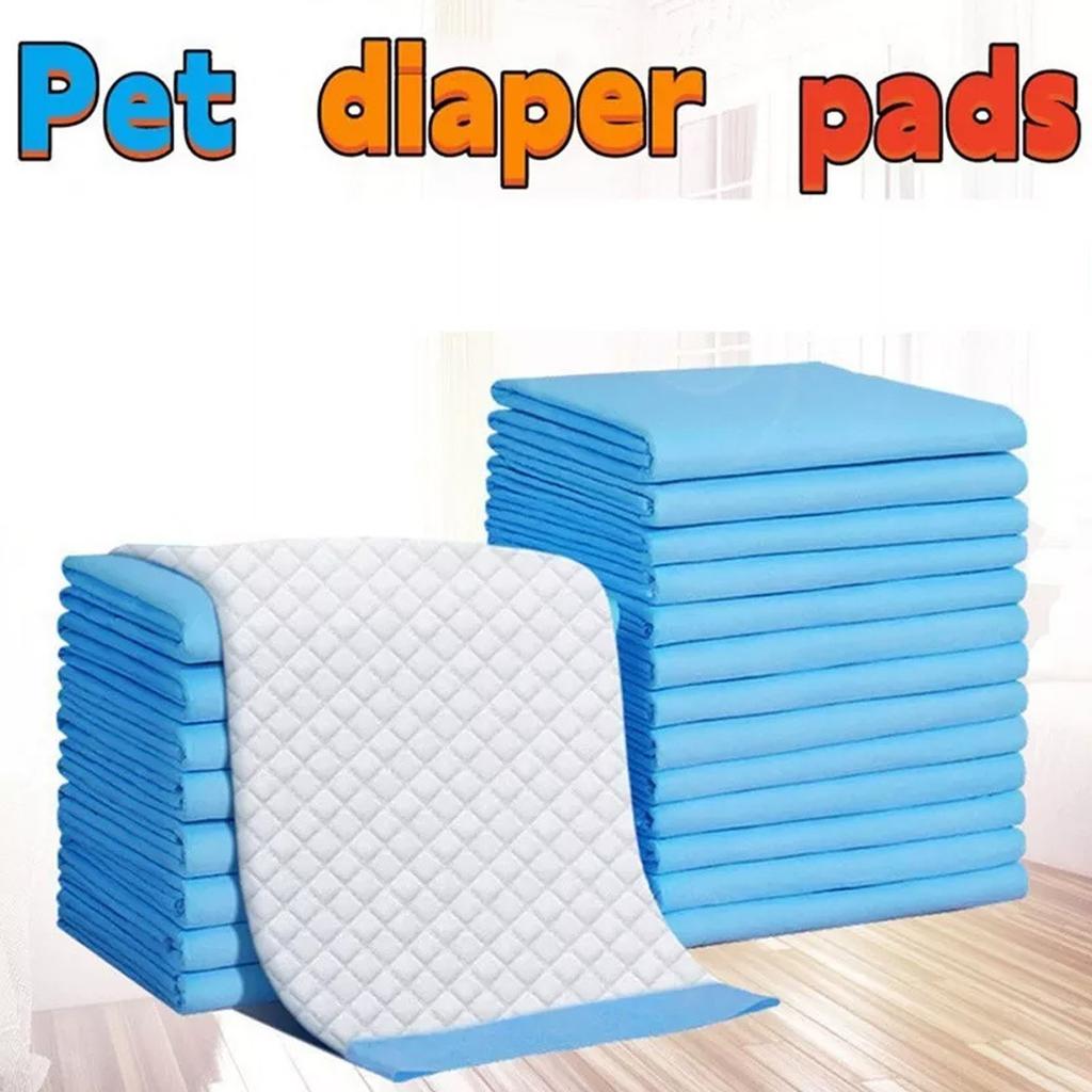 משטח שתן לחיות מחמד דק סופג חד פעמי משטח שתן לכלבים חיתול לאילוף לכלבים יחידות משטח שתן ציוד לחיות מחמד