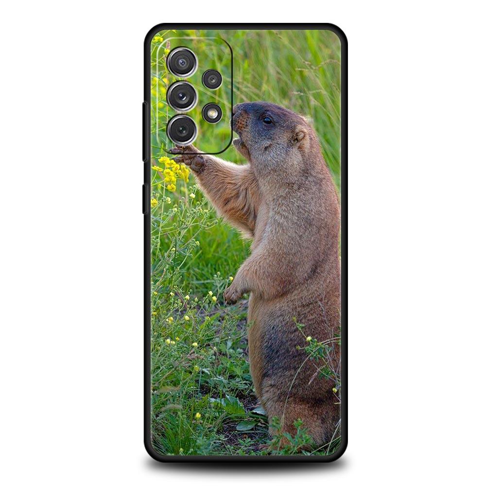 

marmot Phone Case for Samsung Galaxy A17 A13 A15 A25 A35 A51 A55 A71 A21S A11 A31 A41 A23 A53 A73 A32 5G A03S A05s Cover Samsung A03s