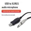 USB To 6.5mm XLR Mic/Guitar Audio Cable with Recording Function