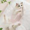 Lightweight Cat Bodysuit Kittens Ragdolls - Anti-Shedding Belly Cover 4-Leg Design Breathable Cotton Blend
