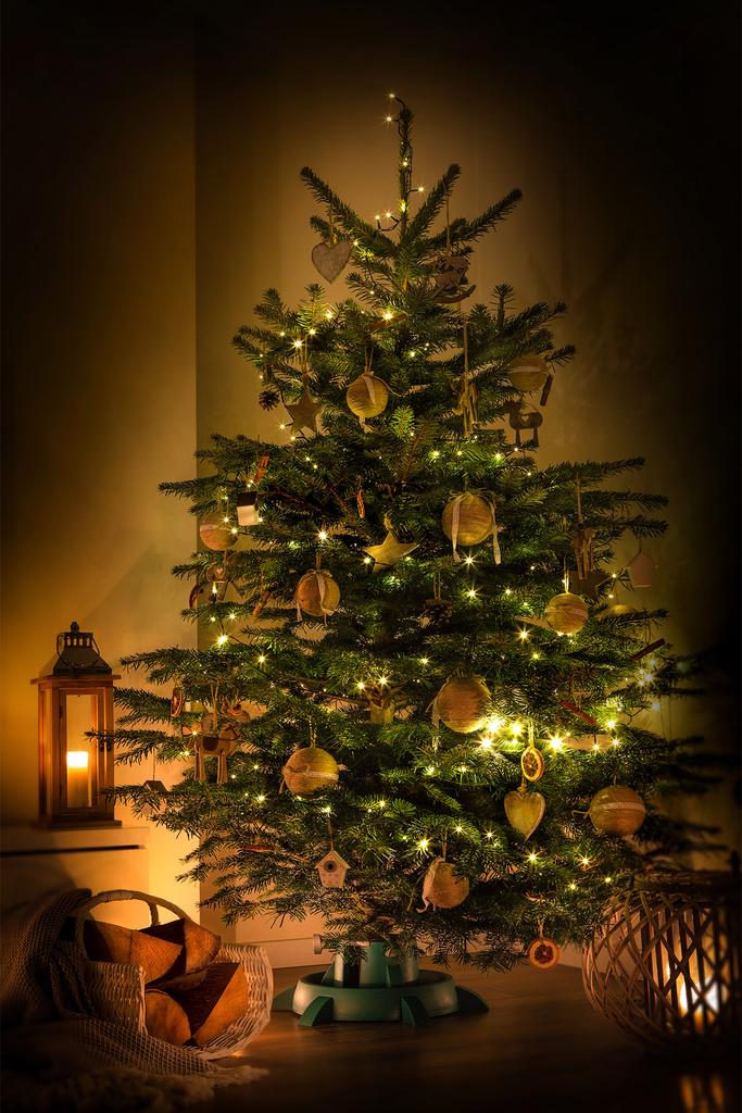 KADAX Stojak Choinkowy Pod Choinkę Podstawka Na Choinkę Drzewko Do 3 m