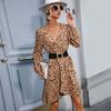YYFS Women's Fashion Summer Spring Leopard Print Long Sleeve V-Neck High Waist Casual Dresses