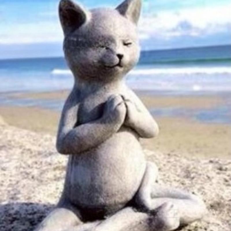 Pisică și Broască Meditație Grădină Ornamente Rășină Ornamente Animale Stil Budist Meditație Decor Curte