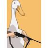 Canvas Painting Funny Memes Duck Posters and Prints Modern Lovely Duck Wall Art Picture for Living Room Home Bedroom Cafe Decor