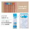 Tombow Pencil B Writing Pencils Hello Nature 1 (Koala Design) Koala, Dozen, KB-KHNKA2-B