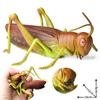 Oenux Insect Animal Wild Reptile Model Soft TPR Mantis Lizard Chameleon Housefly Gekko Action Figures Halloween Trick Kid Toy