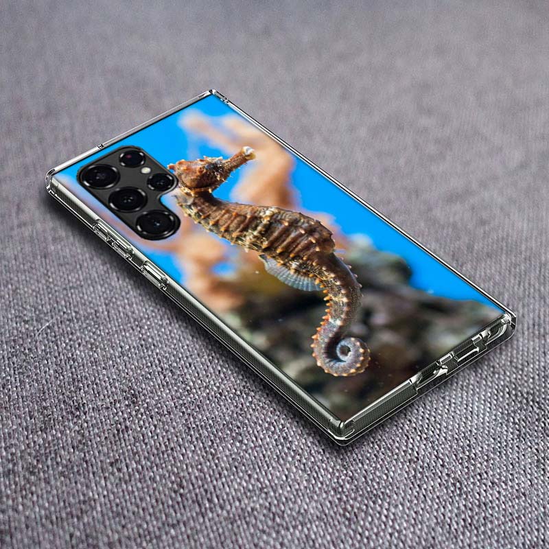 Seahorse Underwater Fantasy Phone Case For Samsung Galaxy S24 S23 S21 S20 FE S22 S26 Ultra S25 Edge S10 Plus Cover Clear TPU Cap