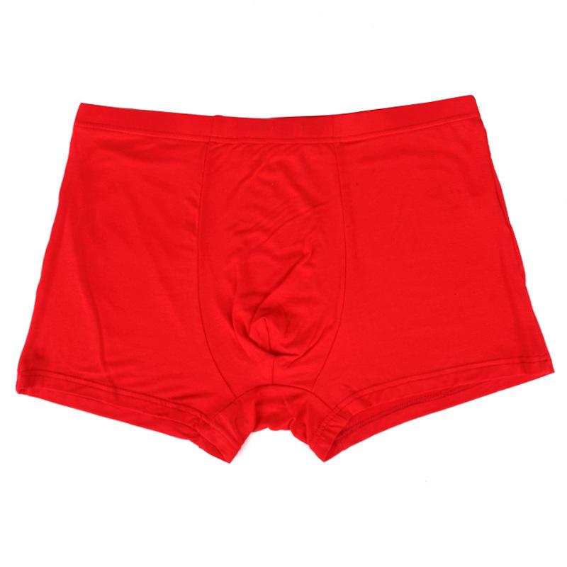 Bamboo Fiber Plus Size Men's Breathable Boxer Briefs & Sports Trunks