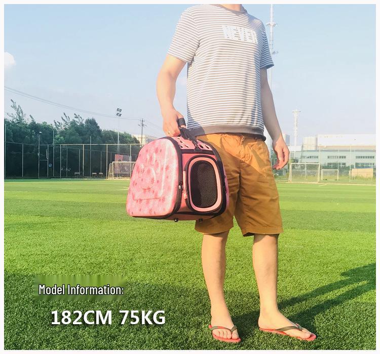 Pet Carrier: Portable Cat & Dog Transparent EVA Backpack Handbag, Foldable for Outings