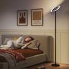 Dimmable Floor Lamp 2700K-6000K with Remote Control and Dual Head Rotating 350 Degrees, Black