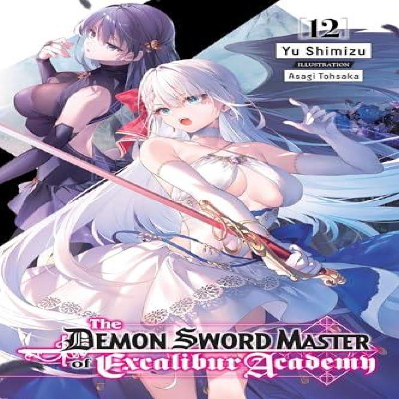 The Demon Sword Master of Excalibur Academy Vol. 12 Light Novel By... 9781975387914