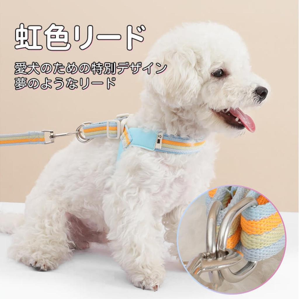 GIIPET Dog Harness and Leash Set for Small and Medium Rainbow Breathable Soft PU Easy with Perfect for Walks and Outings M Dogs, Design, V-Shaped,
