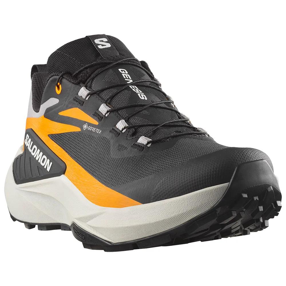 Salomon Кроссовки для трейлраннинга Genesis Goretex