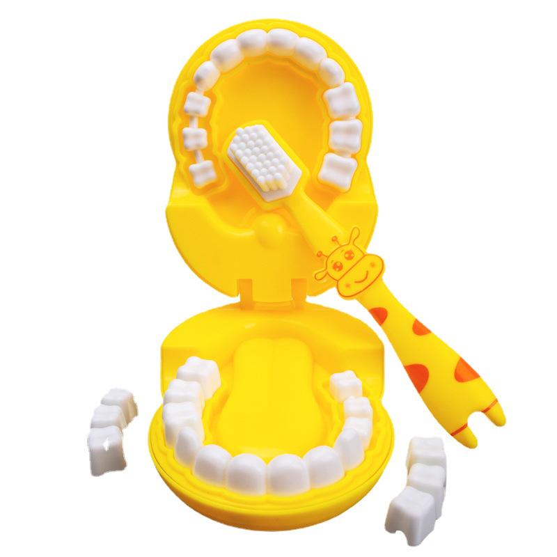 New Interactive Dental Model Toy - Small Doctor Playhouse Accessory