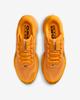 IH3256-700 Nike Pegasus PRM Modern Mayfly (Men's)